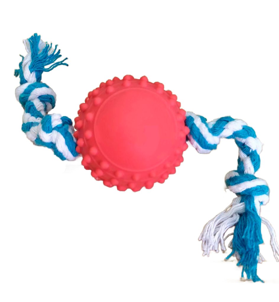 Bolinha Cravo com Corda