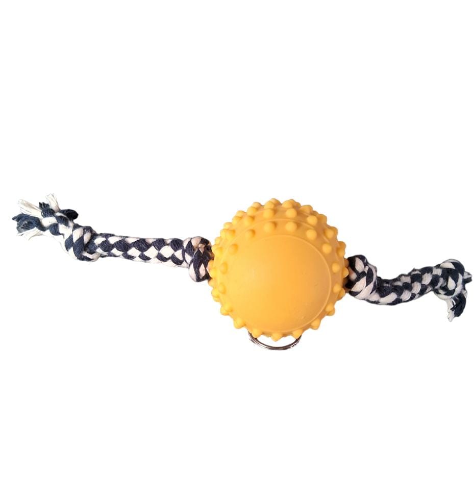 Bolinha Cravo com Corda